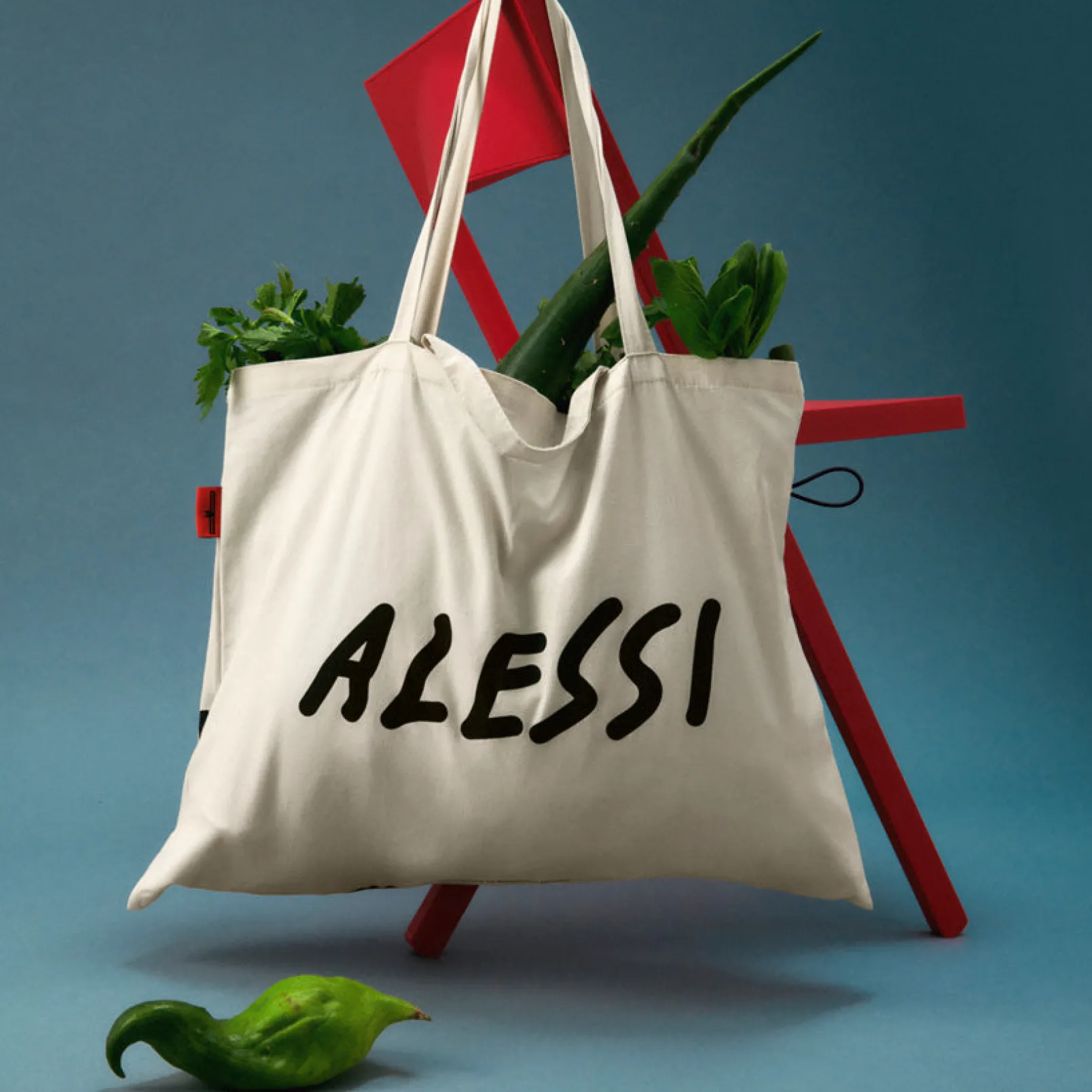 Canvas tote bag